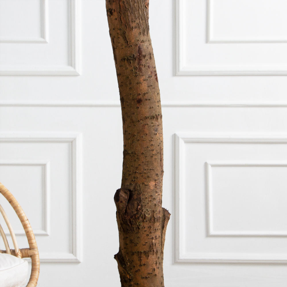 290/РН/84-1(з)(F)  Шеффлера искусственная h290 d160х65см на фанерн.основании d50_6