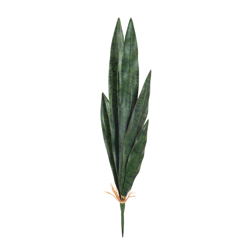 7143/0382-1/9 Сансевиерия (щучий хвост) большая (зелен.)h68см