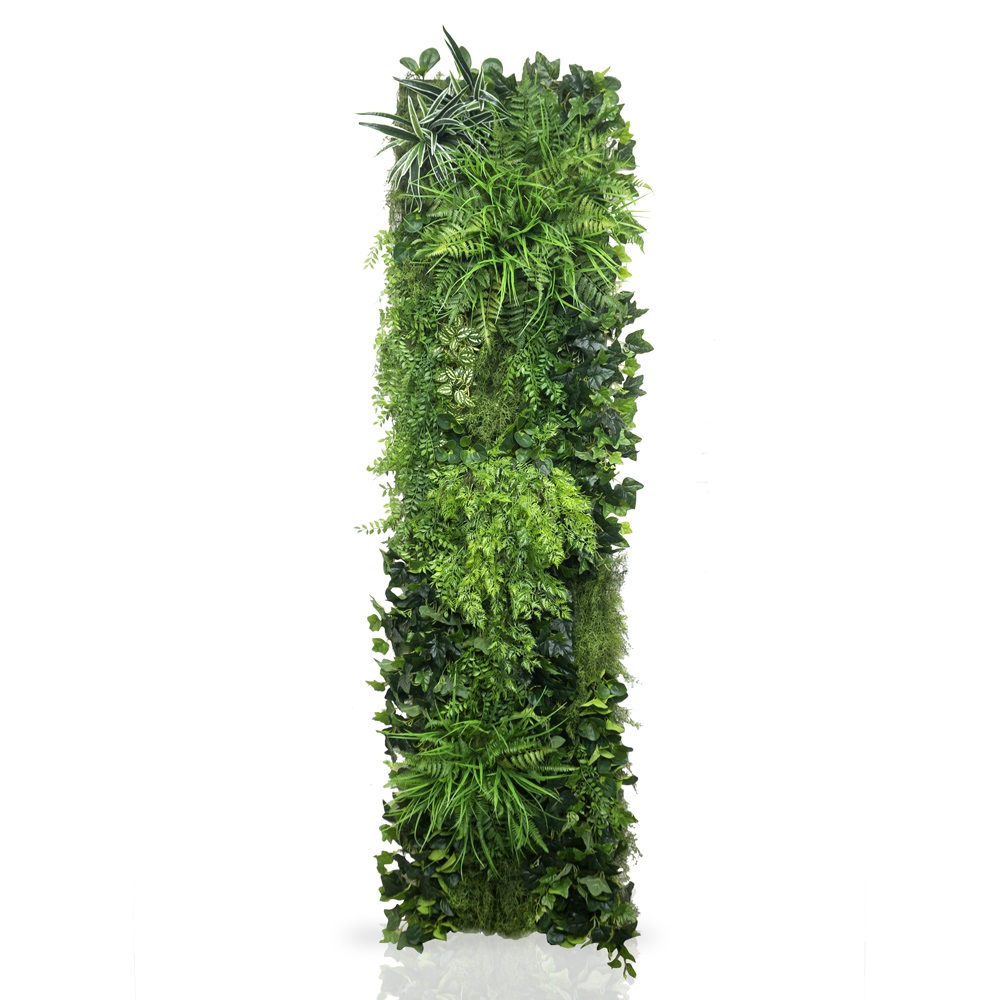 Фитостена 154_3