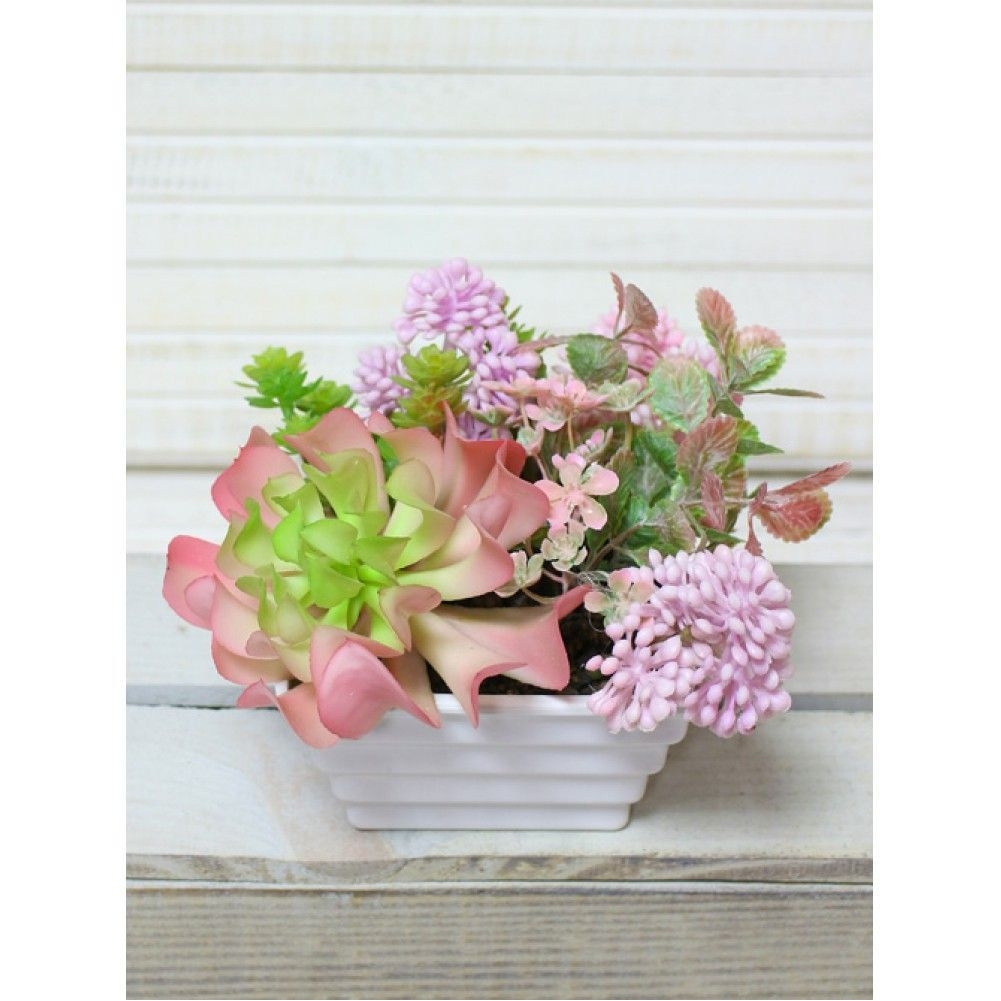 4331697e-7fea-4af4-aa21-e2d60156820b-1000x1000-1001x1001