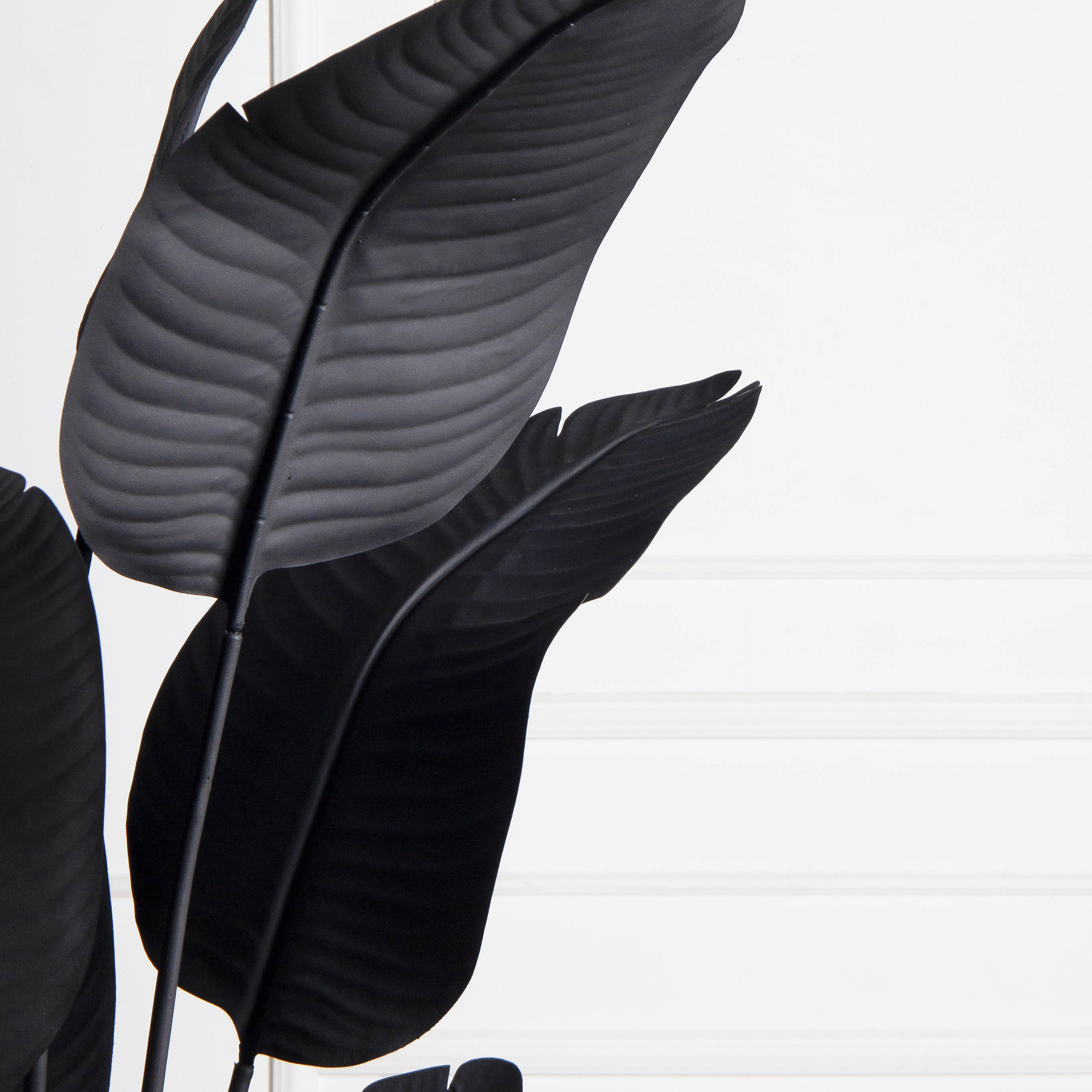 ПЦ200/К/360(з)(F) Банановая Пальма h200см (черная) в интерьерном кашпо_5