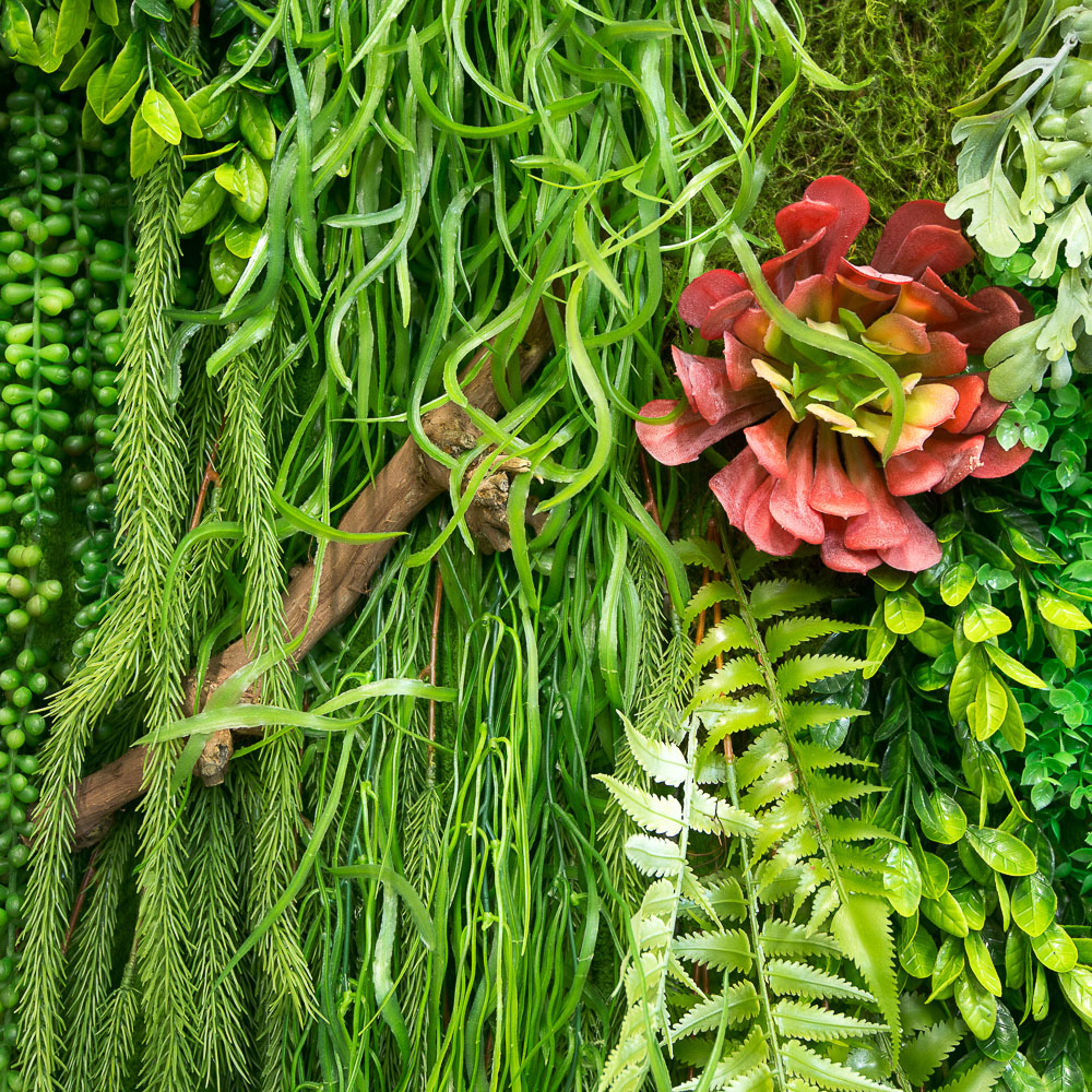 Фитостена 001-1(з.)_3