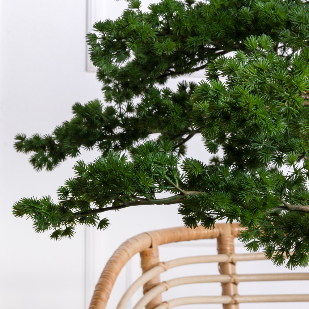 БС165/ОС/427(Пр) Бонсай искусственный Сосна h165см _5