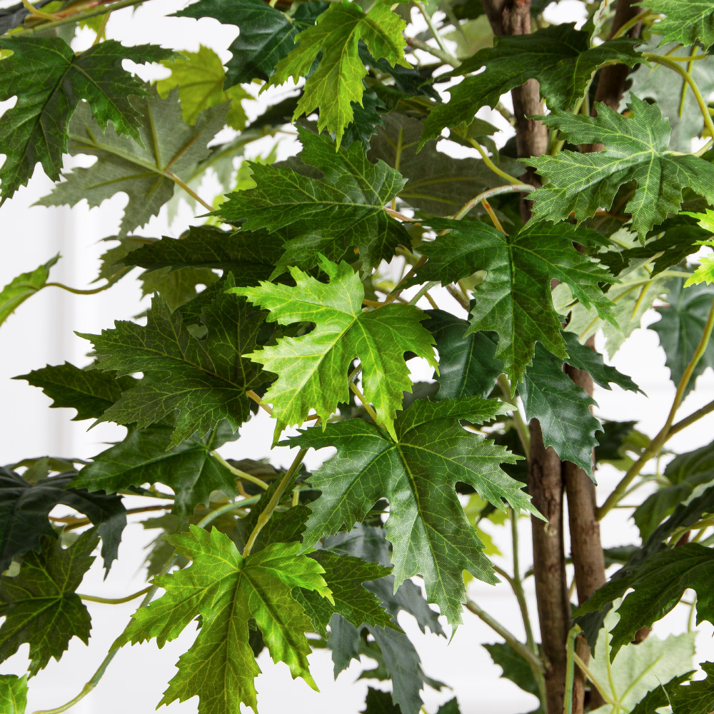 180/РН/ЭК/2900(Пр)(F) Клен искусственный h180см,зеленый_5