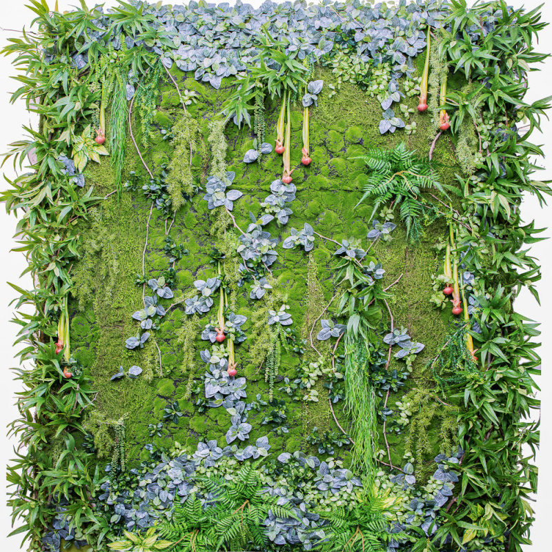 Фитостена 121_1