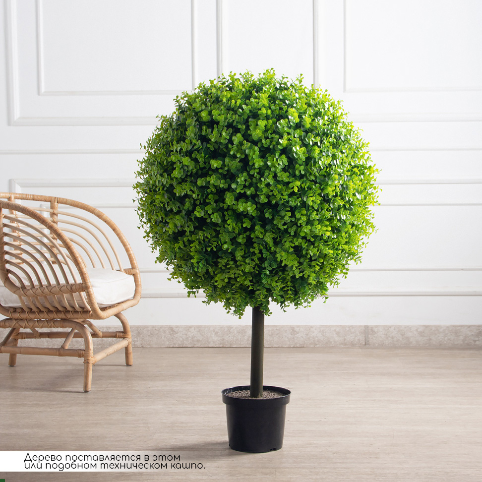 СШК110/2288(F) Самшит-шар d70см 