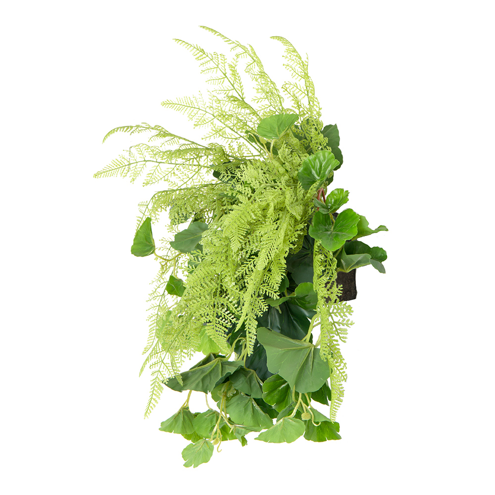 БК 12 Композиция с пеларгонией на блоке 15*h10_2