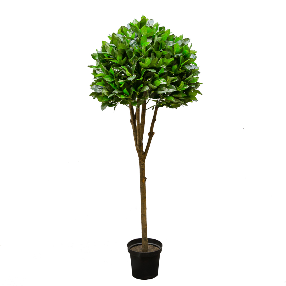 180/Ш/188-3(з.) Лавр (латекс) h180см