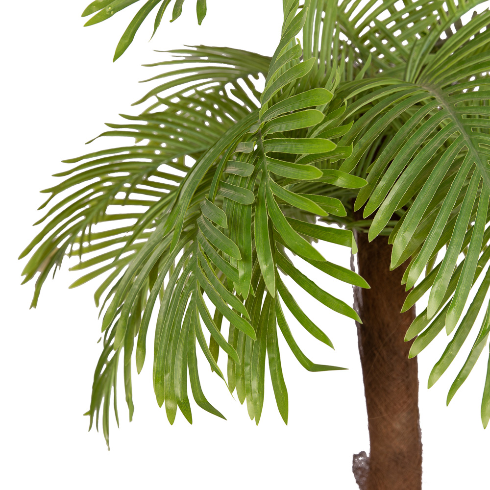 П120/49Л Пальма Арека (латекс) h-120см_2