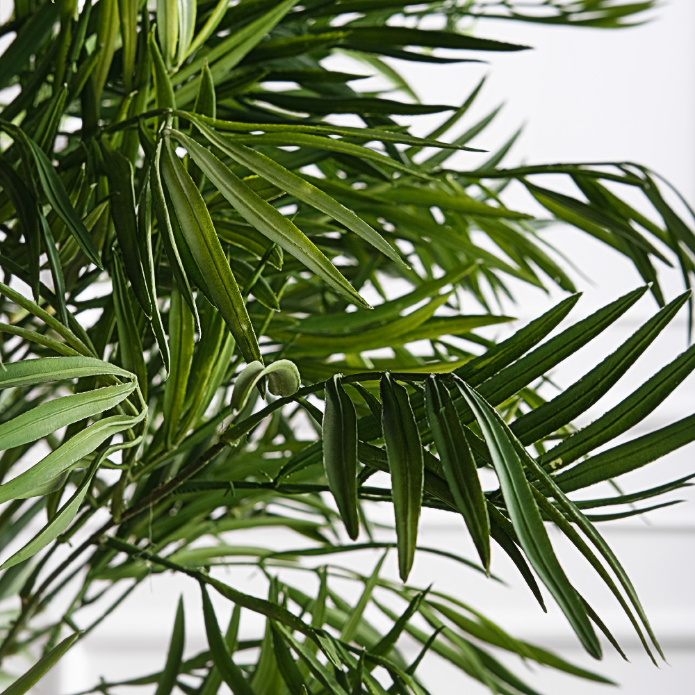 160/355(FixS)(Пр)(F) Бамбук искусственный узколистный 6 стволов, h160см_6