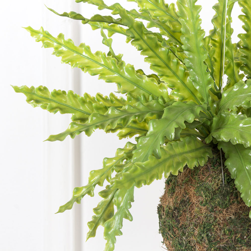 ККД35/208-1 Кокедама d-15 