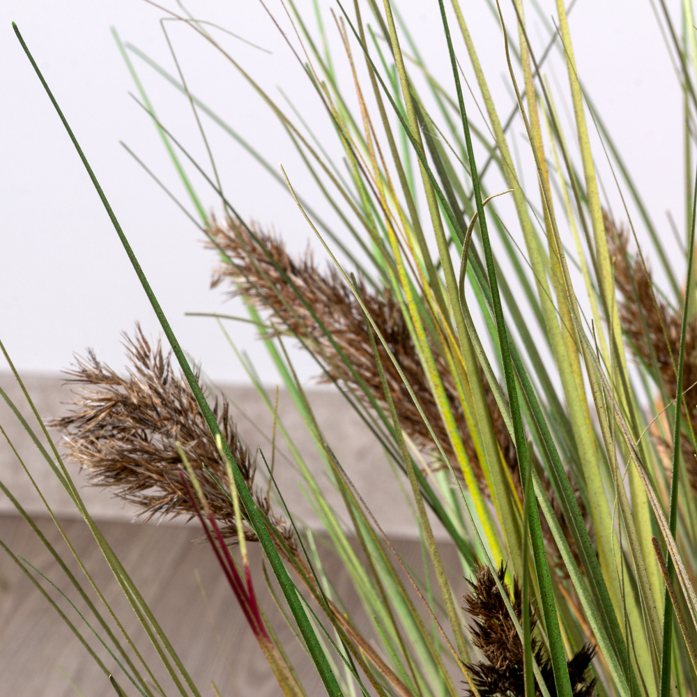 ЦС107/6-1(з) Трава Осока искусственная с камышом в круглом кокосовом боксе d50см, h100см_3