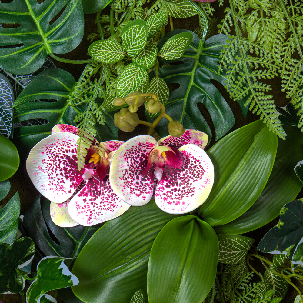 Фитостена 138_1