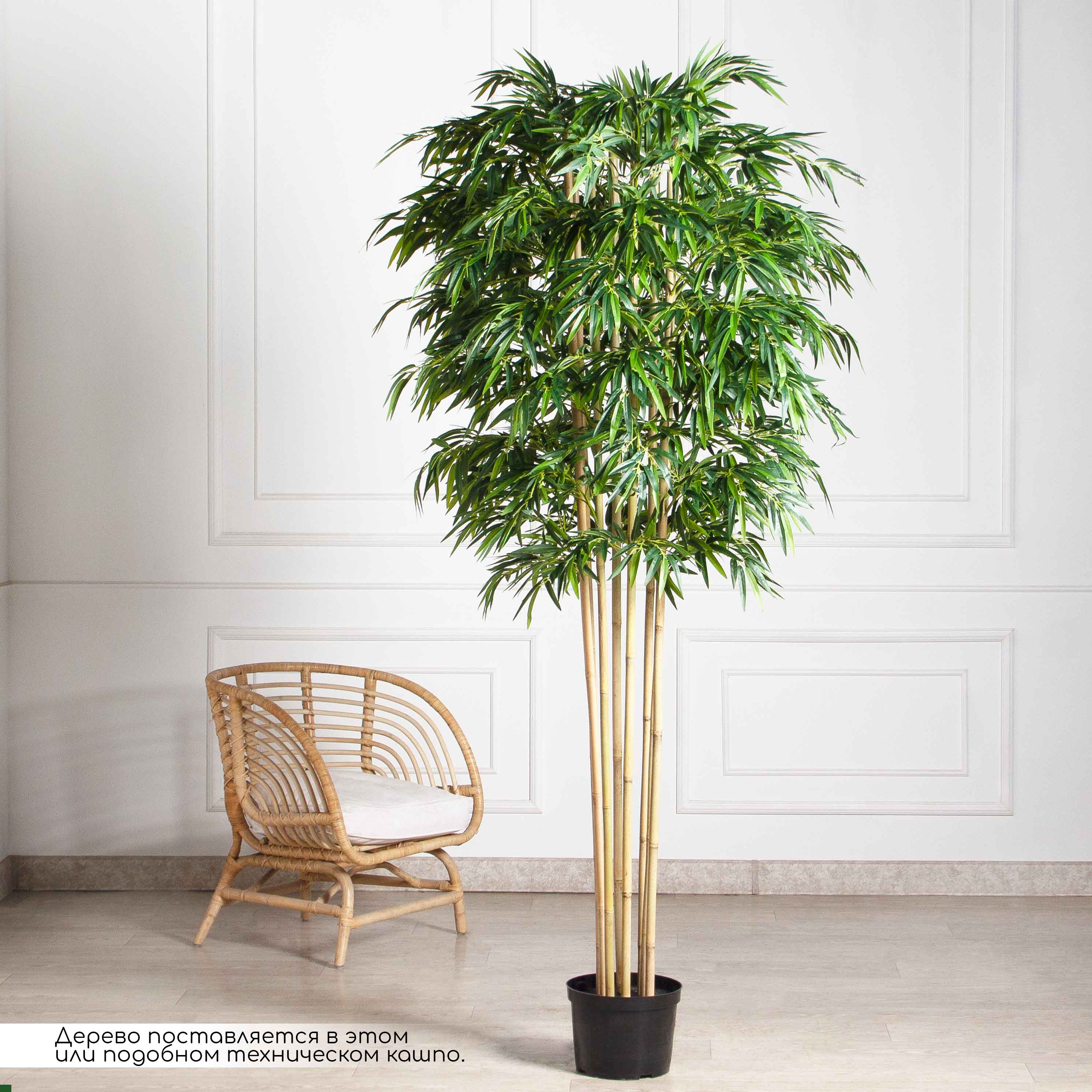 220/75/1-3(з)(Пр)(F) Бамбук искусственный 8 стволов, h220см (латекс)_2