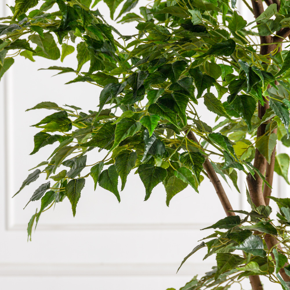 240/РН/12М-4(з)(F) Береза искусственная h240см, 2 ствола(латекс)_4