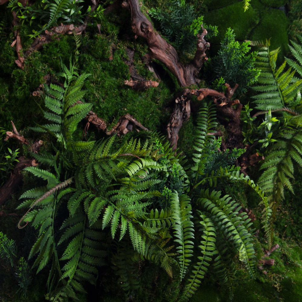 ФТС181(Пр)(F) Фитостена,  за 1кв.м_4