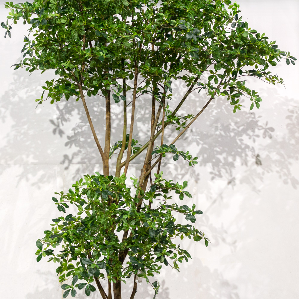 360/Я2/РН/АСС/84(з)(УУ)(Пр)(F) Шеффлера искусственная пристенная h360см, латекс_2