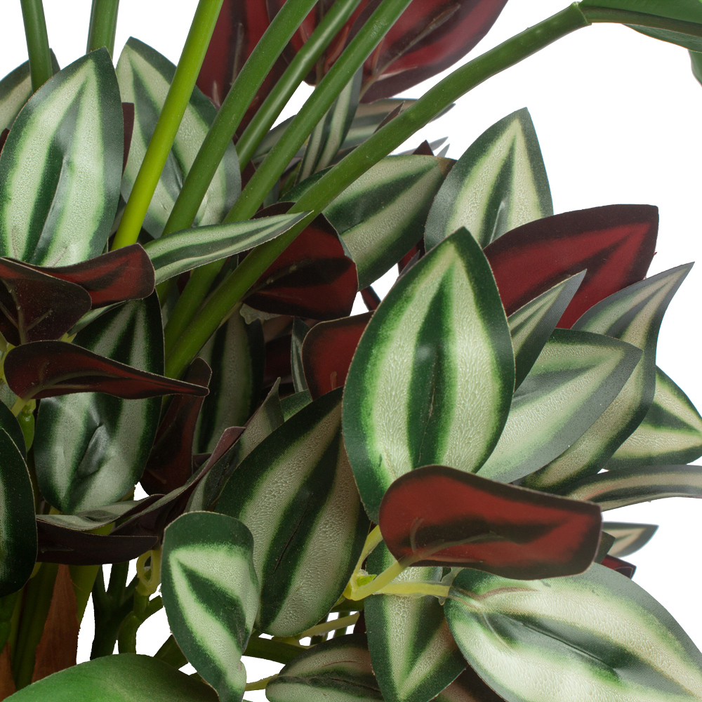 БК 16 Композиция с калатеей и монстерой на блоке 15*h10_3