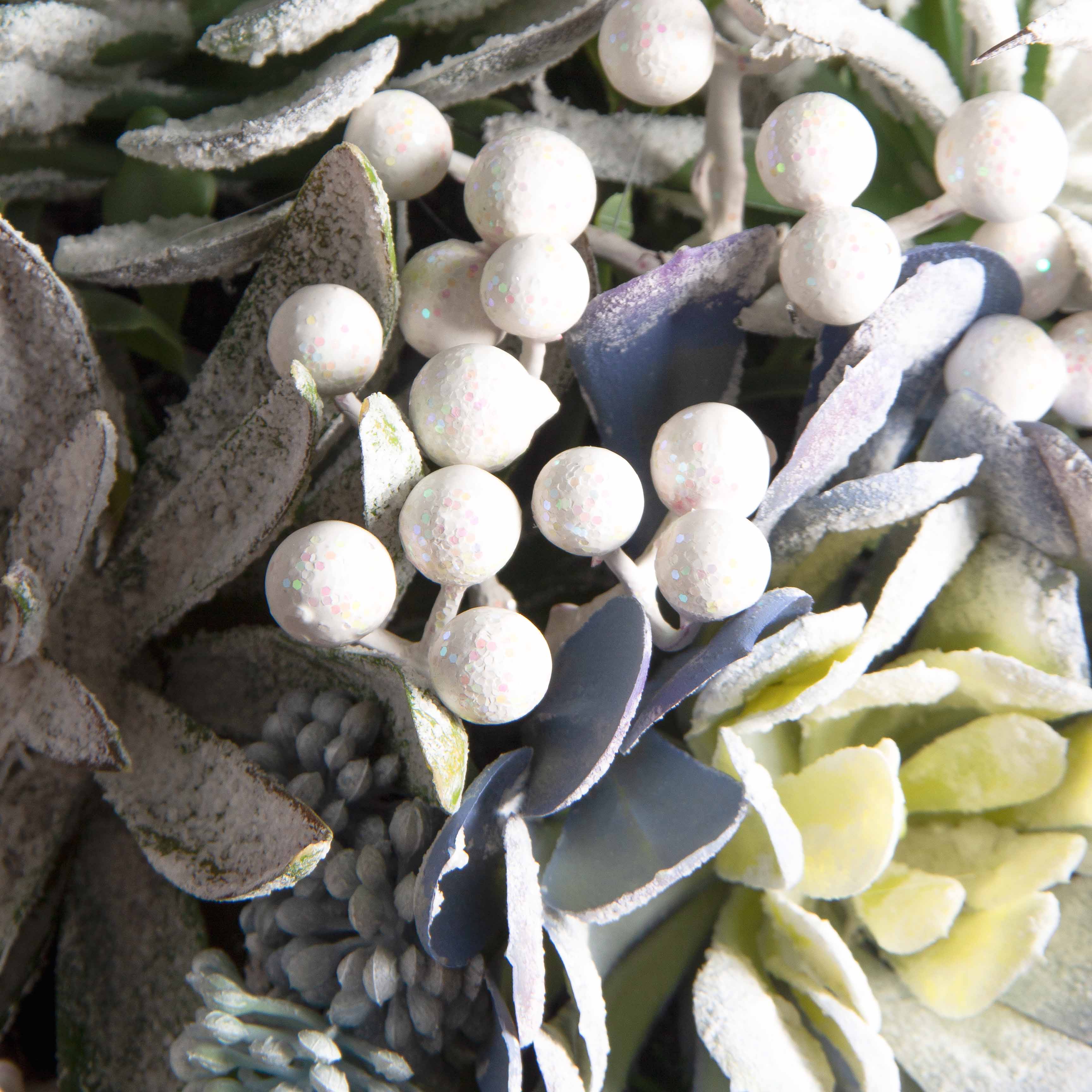 СКК08-1(з)(F) Суккуленты НГ в круглом забеленном кокосовом боксе d20см_3