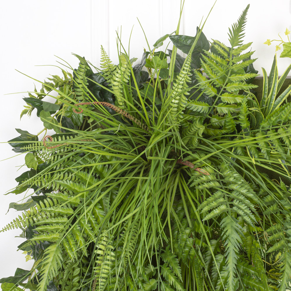 Фитостена 154_1