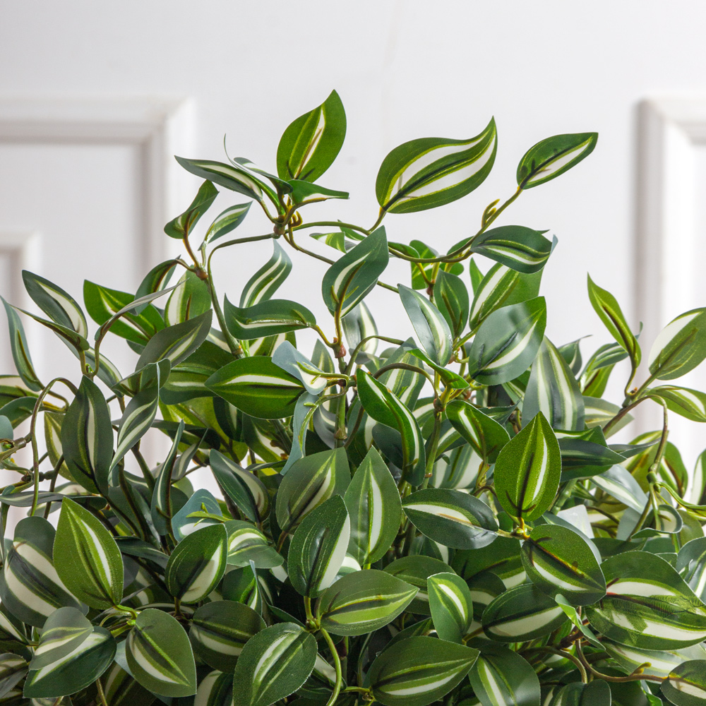 КС131(з)(F) Традесканция в кашпо d23см_2