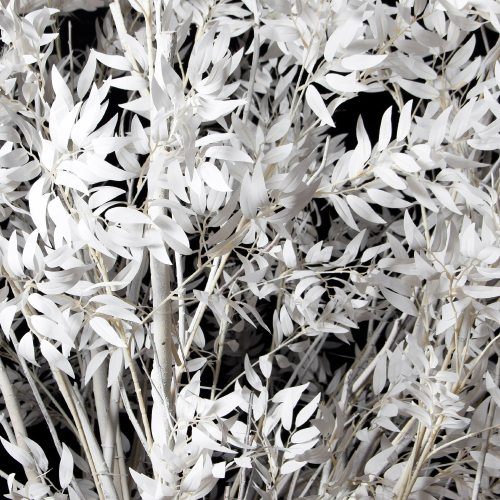 310Гбст/разб/РН/652(F) Ива интерьерная зимняя h310см d290,белая_6