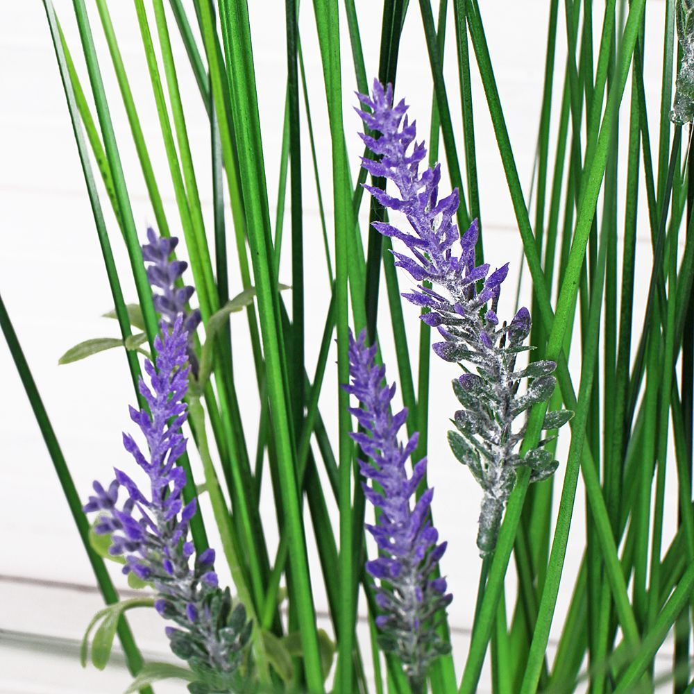 ТД056 Осока h-40cм лавандой в кокос.боксе (25х8х8)_2