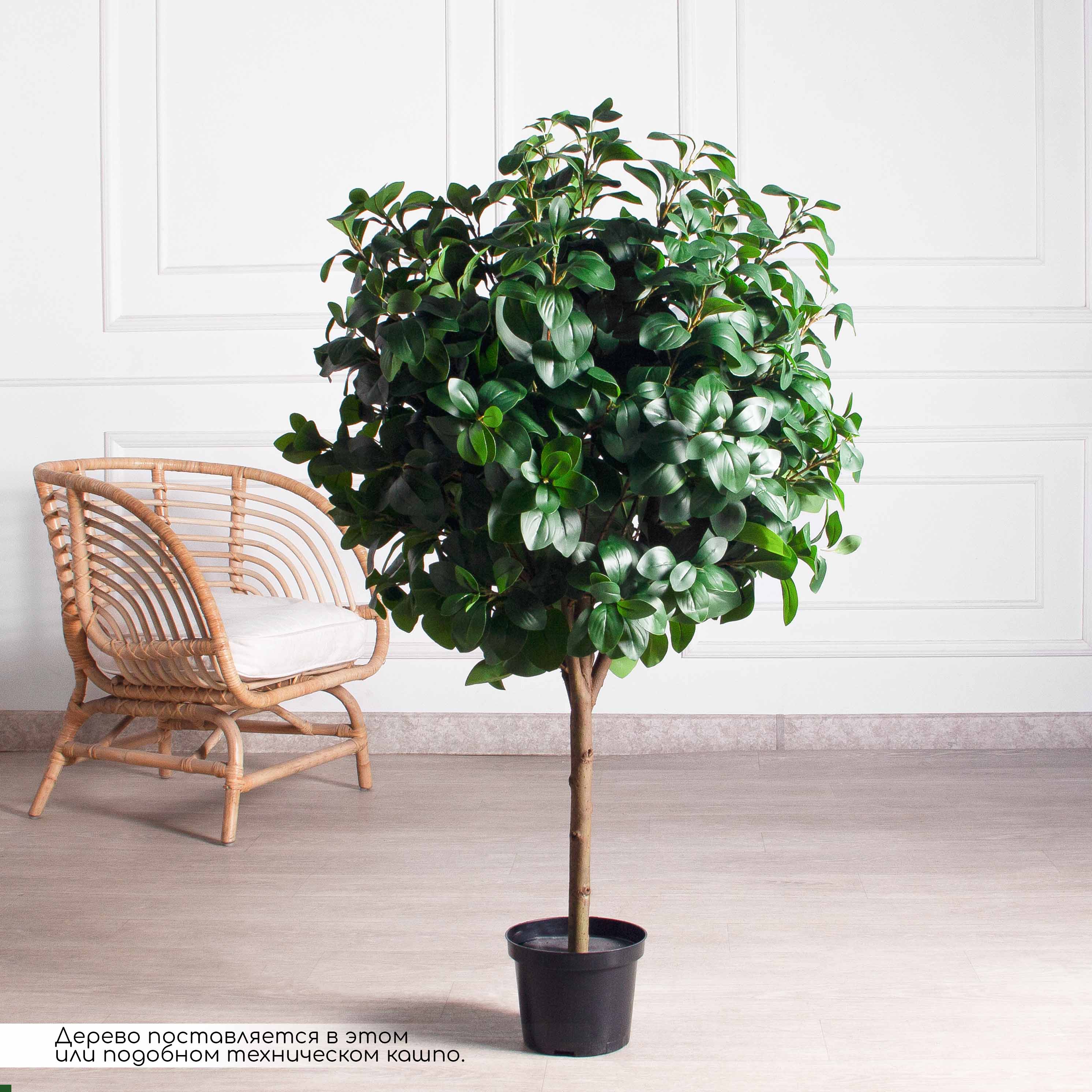 120/Ш/208(з)(F) Рускус искусственный h120, d80см (латекс)_2