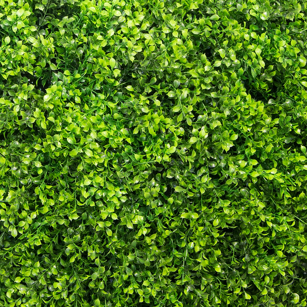 СШ120/229(з.) Самшит-шар Премиум (d-120см)_2