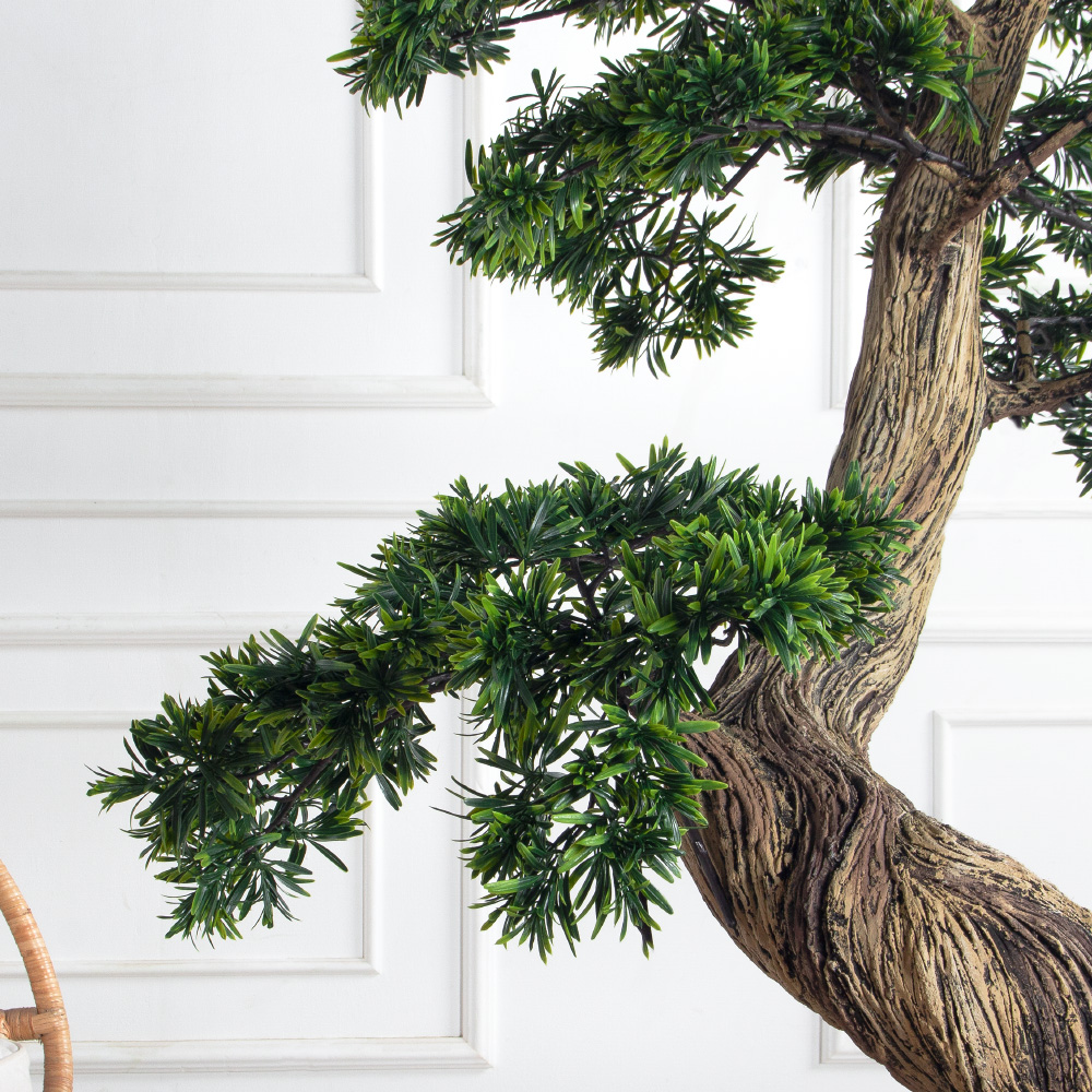 180МЕТ/АСС/241(з)(F) Подокарпус интерьерный h180 d110см_8