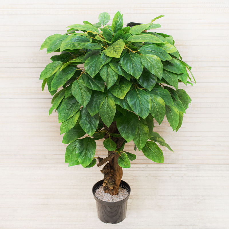 90/ОС/89(З) Магнолия 90см