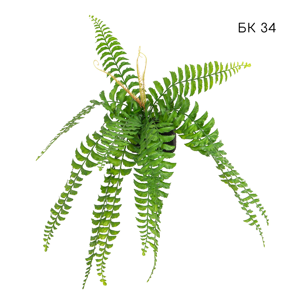 Фитостена 130 на сетке_142