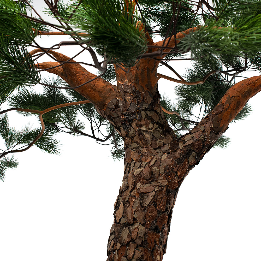 275разб/нат/224(з.) Сосна с натур.корой h-275см_2