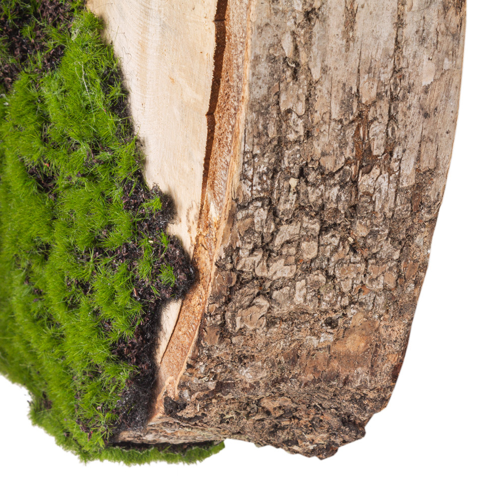 БК140/5 Композиция на березовом спиле d30-40см_2