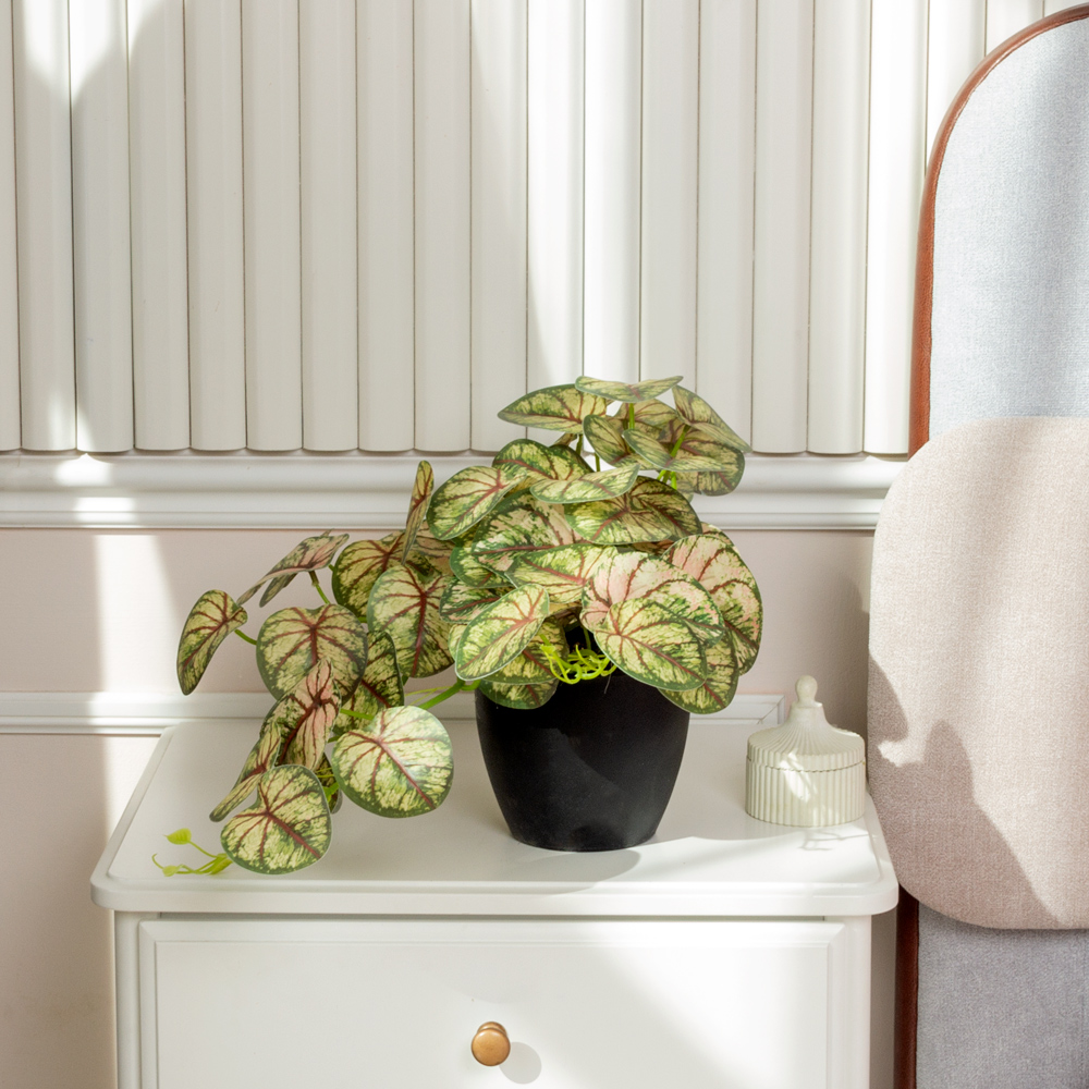 ЦС209-2(F) Пеперомия искусственная ампельная, зелен-розовая_1