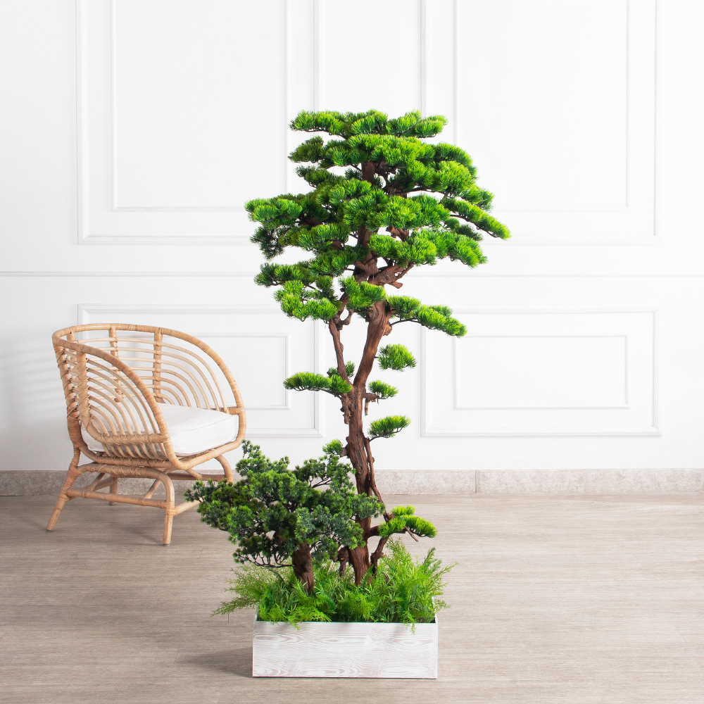БС150/ОС/30-9(з)(Пр)(F) Бонсай искусственный Сосна h150 и 50см в деревянном ящике 50х30х15см_2