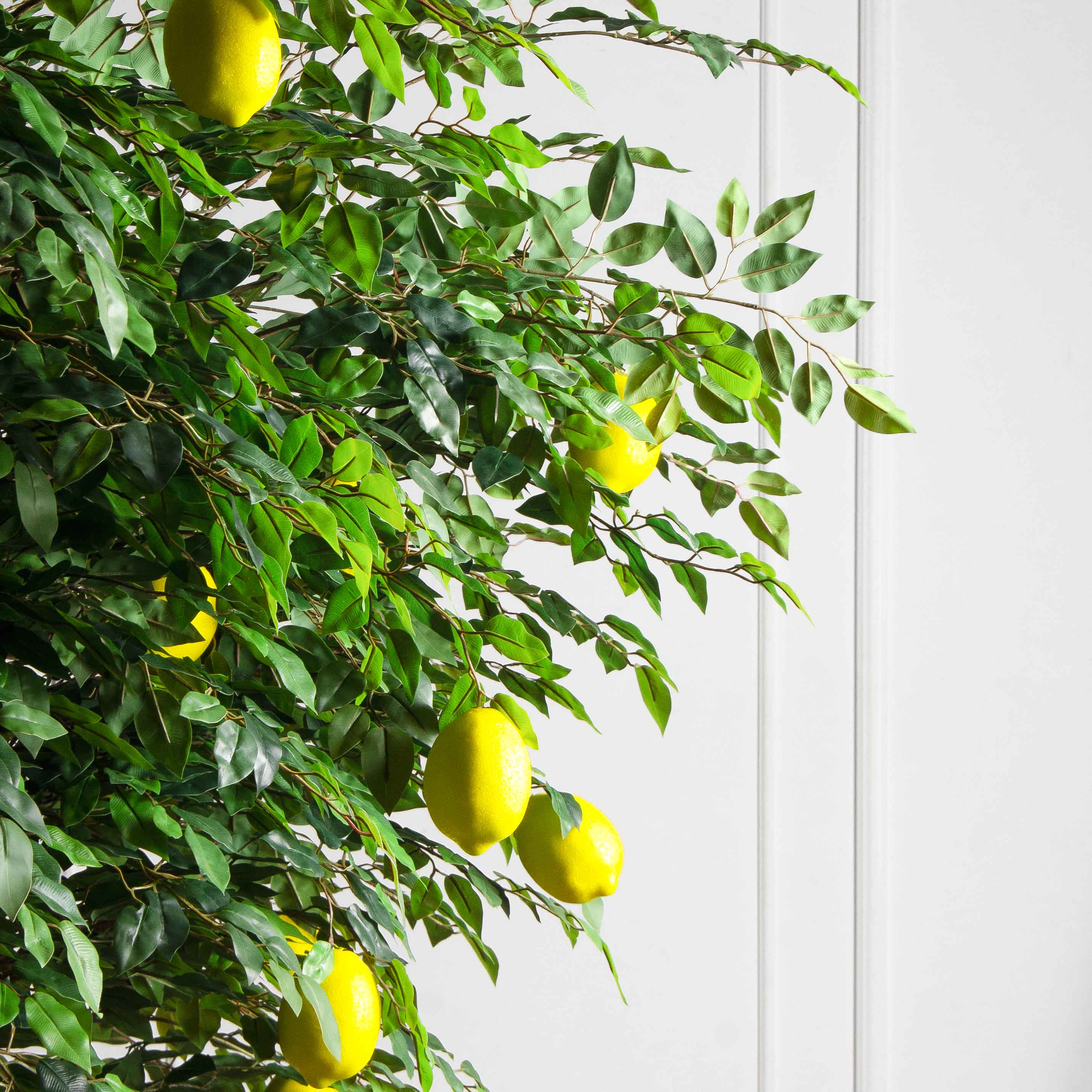 250/РН/20М-1(з)(УУ)(Пр)(F) Лимон искусственный h250см d200см, латекс_9