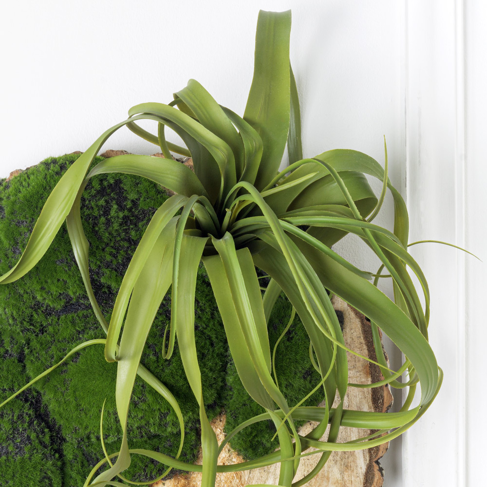 БК140/2 Композиция на березовом спиле d48-50см_7