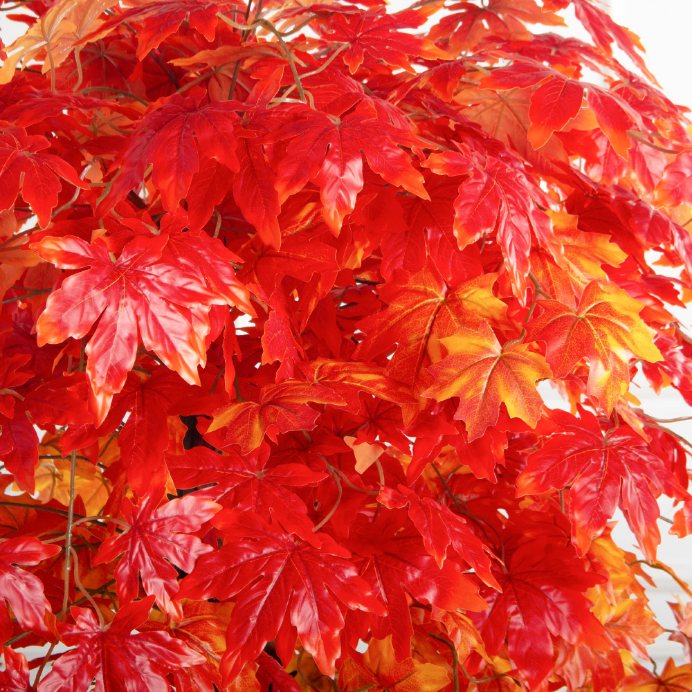 160/2К/ОС/528(з)(F) Клён искусственный осенний h160см_6