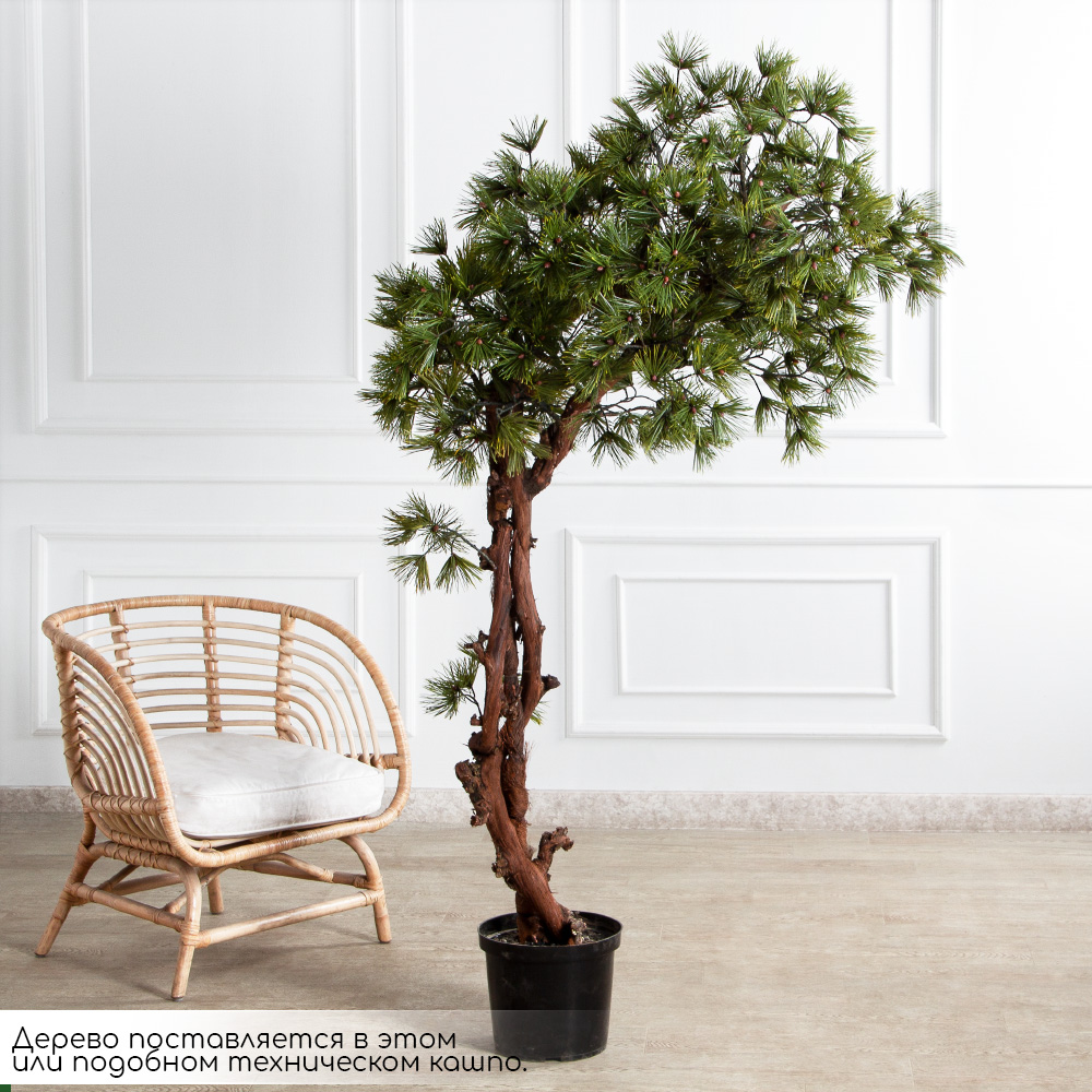БС185/ОС/30-1(з)(F) Бонсай искусственный Сосна h185см_2