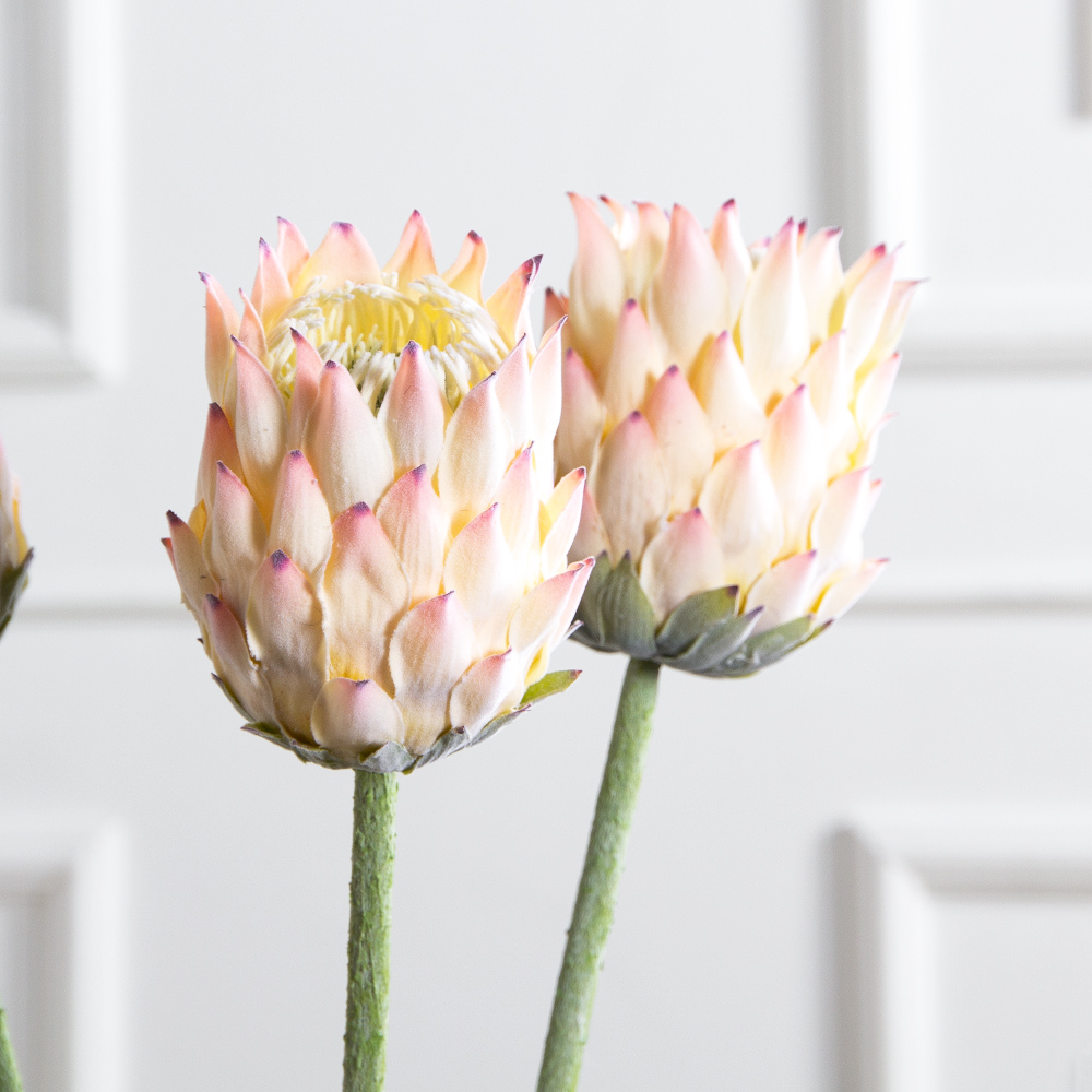 7141А/0287-0341/1(F) Протея искусственная h70см(голова 10см d7см) розовая_2