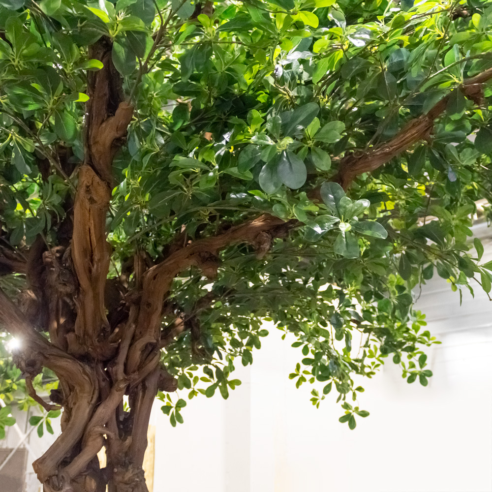 360/ОС/84(з/УУ) Шеффлера искусственная h360см_4