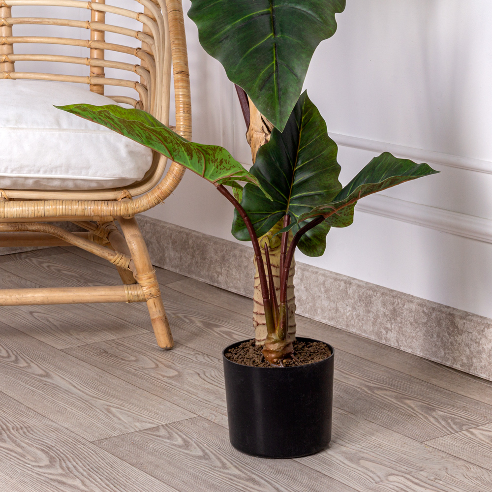 135/К/502(Safari) Алоказия искусственная h135см_4