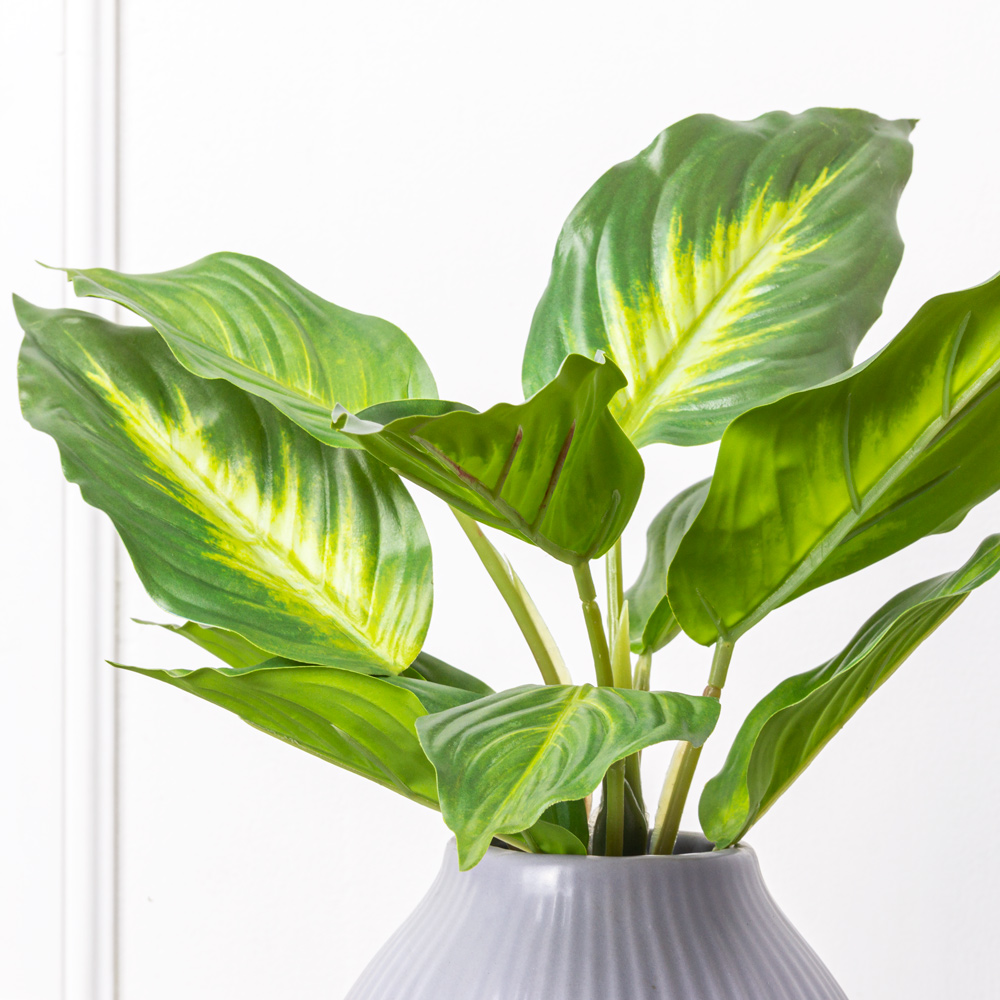 7143/0228-34 Калатея искусственная куст h30см, светлый_1