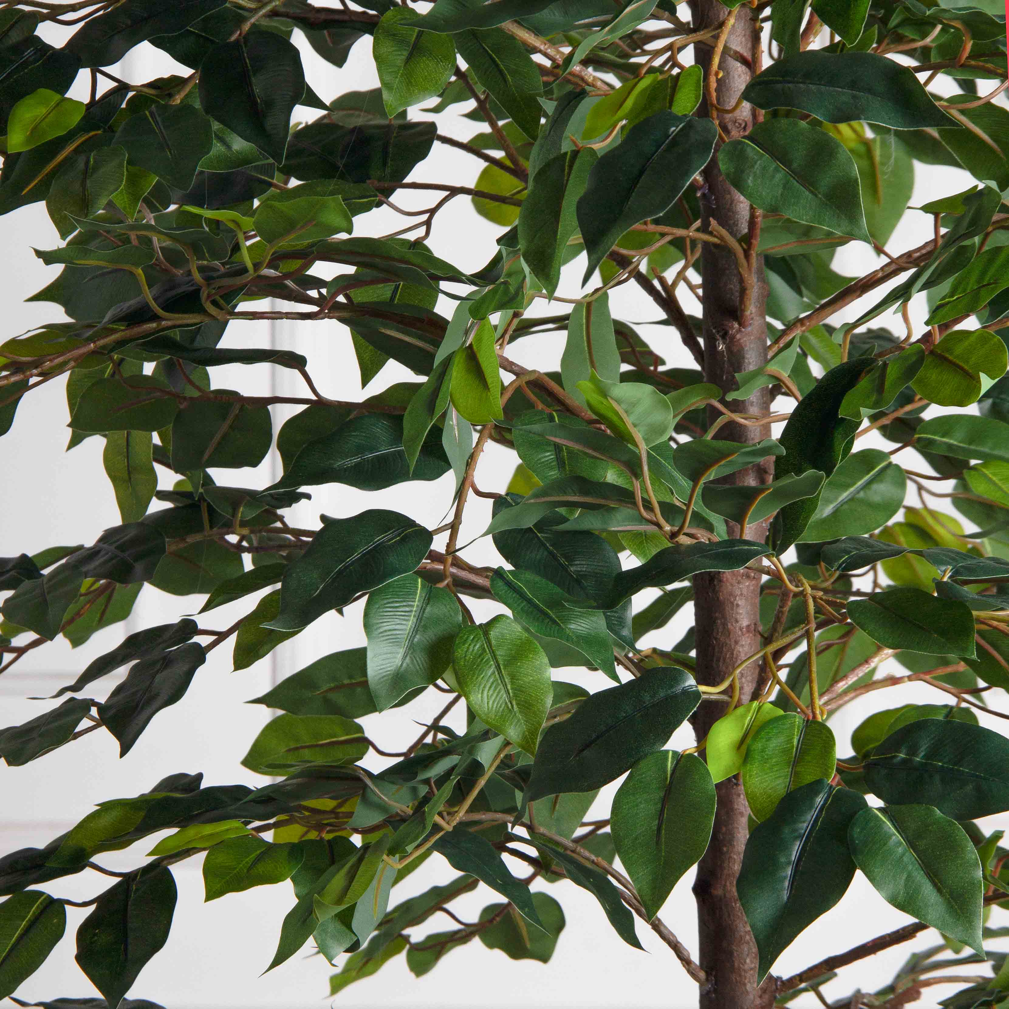 180/РУ/34(Пр)(F) Фикус искусственный разноуровневый h180см, латекс_4