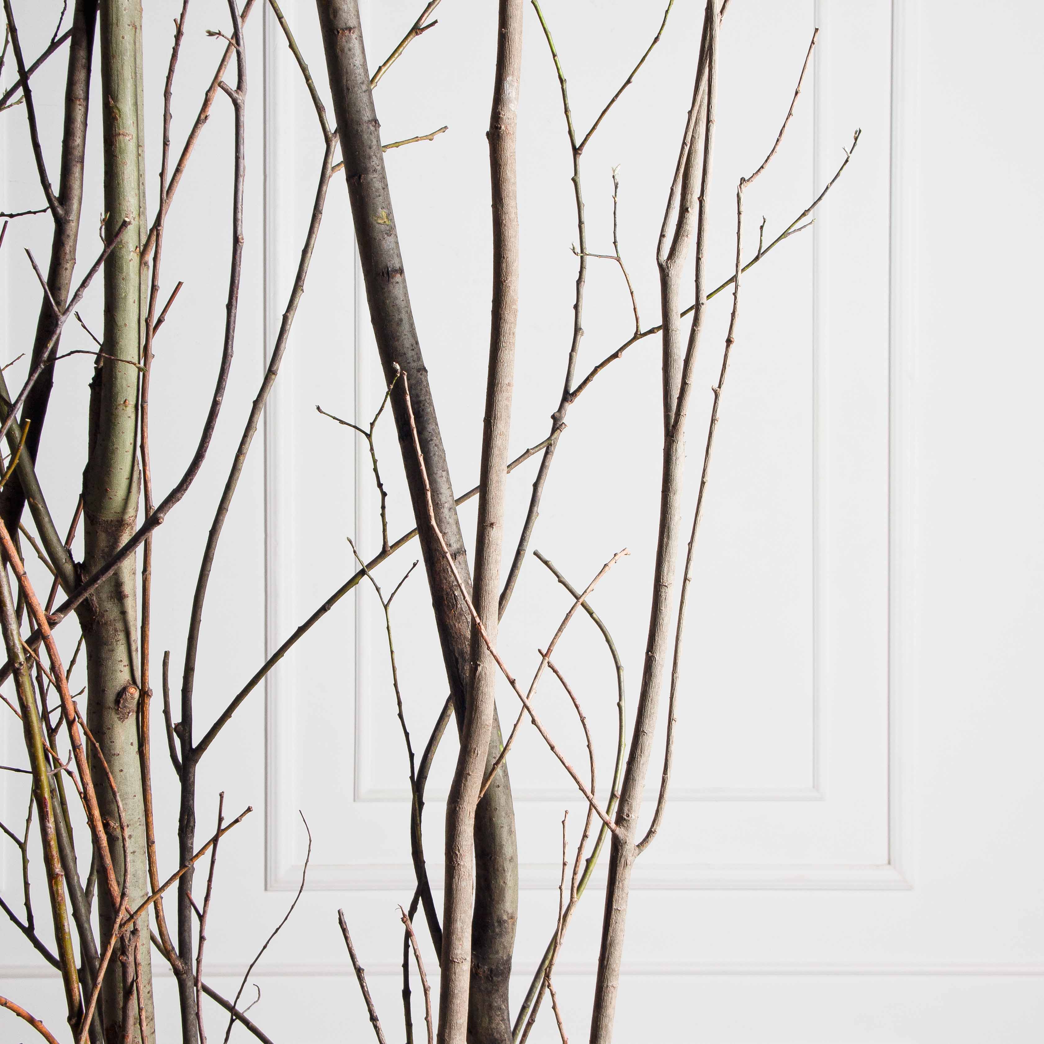 ДИ01-3(з)(F) Изгородь искусственная декоративная 316,5хh370см_7