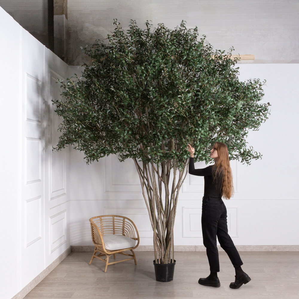 300/РН/465(Пр)(F) Оливковое дерево искусственное h300см_2