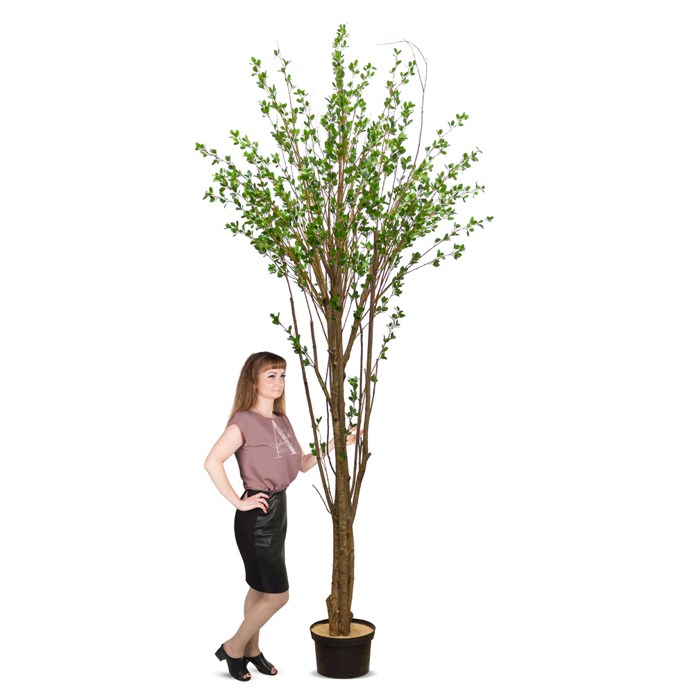 300/РН/172-2(з.) Дерево искусственное с распускающимися листочками h300см, d250см(латекс) _3