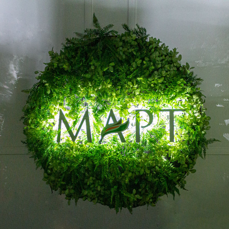ФП06-2(з) Фитопанно искусственное с подсветкой d125см_1