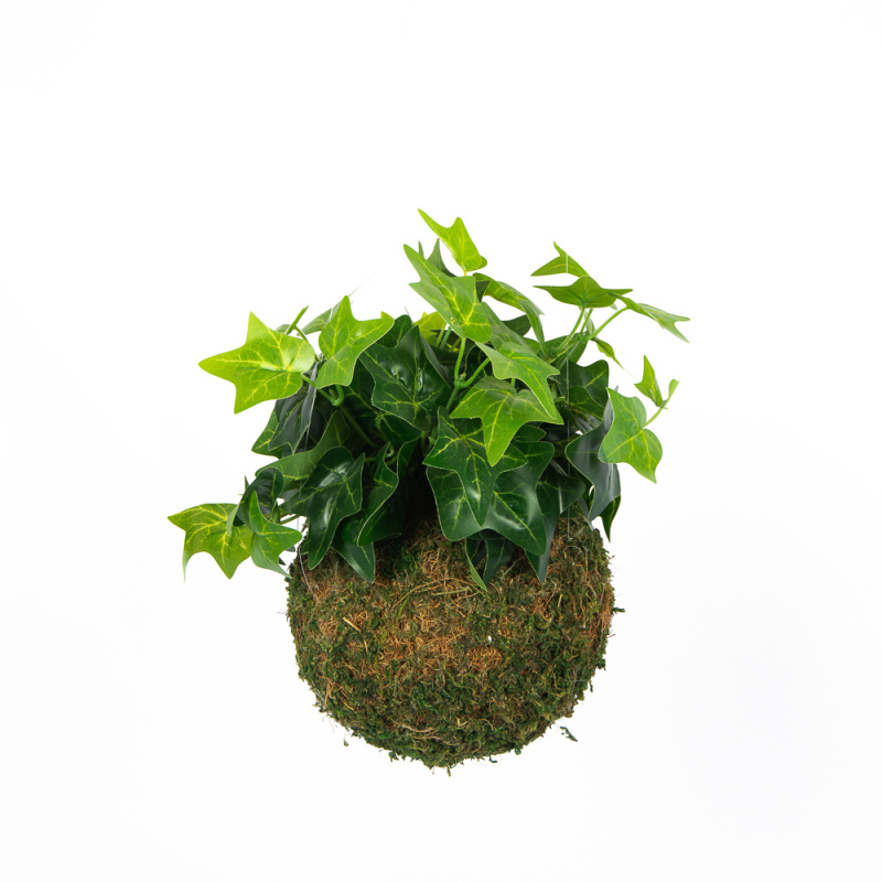 ККД26/213 Кокедама d-15 